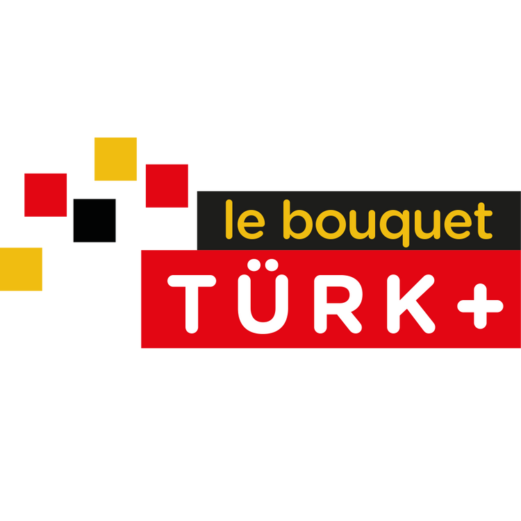 Türk+ logo
